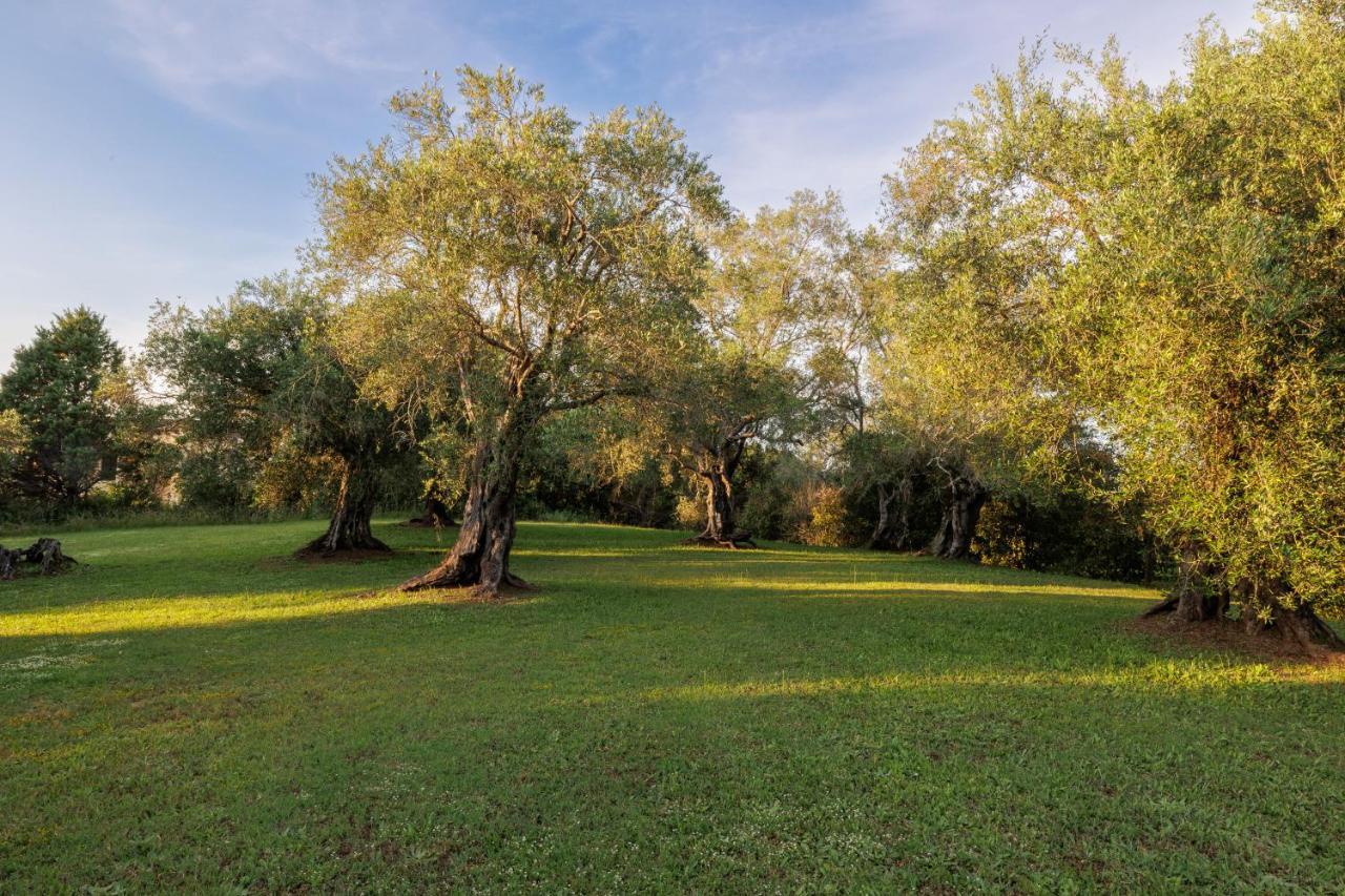 Triklino Estate Villa Áfra Dış mekan fotoğraf